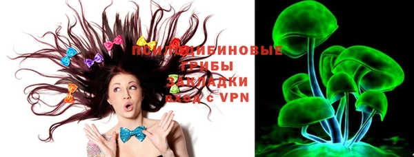 ПСИЛОЦИБИНОВЫЕ ГРИБЫ Зерноград