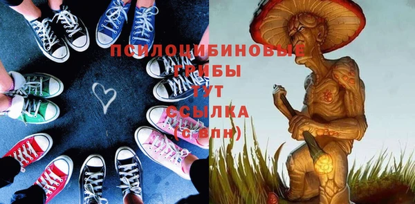 ПСИЛОЦИБИНОВЫЕ ГРИБЫ Зерноград