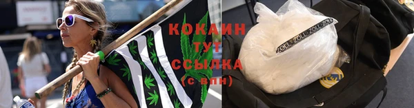 ПСИЛОЦИБИНОВЫЕ ГРИБЫ Зерноград