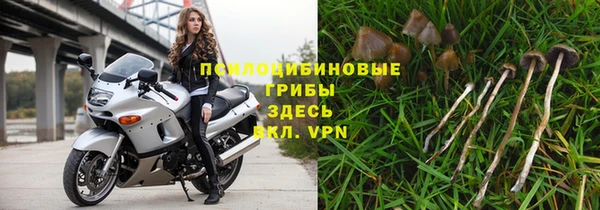 ПСИЛОЦИБИНОВЫЕ ГРИБЫ Зерноград