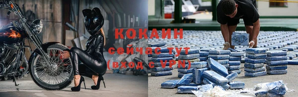 ПСИЛОЦИБИНОВЫЕ ГРИБЫ Зерноград