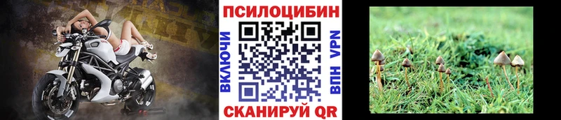 Купить  Новочебоксарск  Галлюциногенные грибы Magic Shrooms 